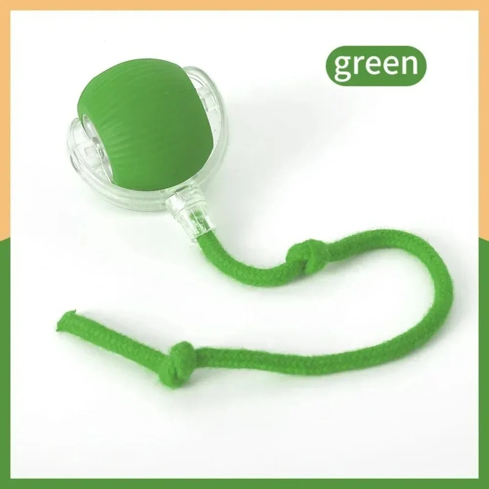 Automatic Rolling Ball with Tail,