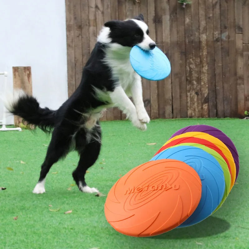 Jouets de disque volant pour chiens