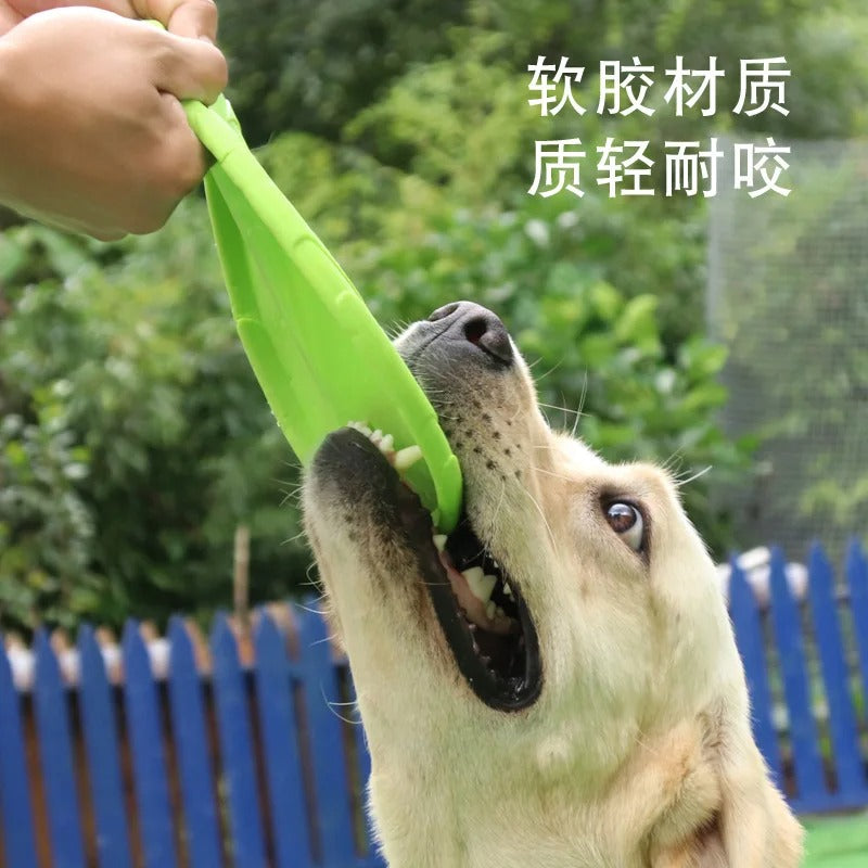 Jouets de disque volant pour chiens