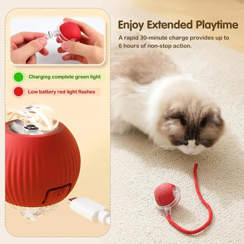 Automatic Rolling Ball with Tail,
