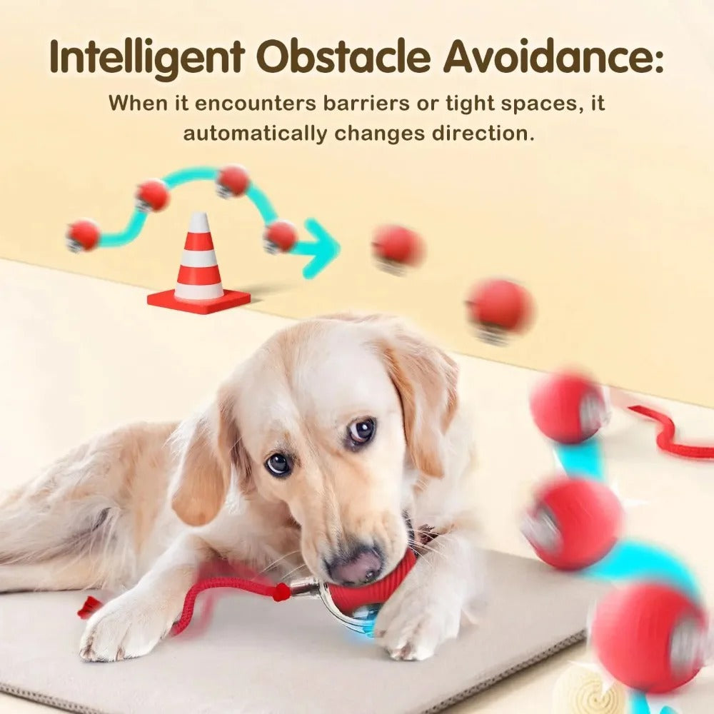 Automatic Rolling Ball with Tail,