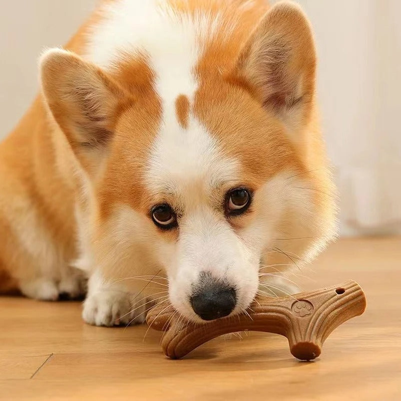 Bite Resistant Pet Dog Chew