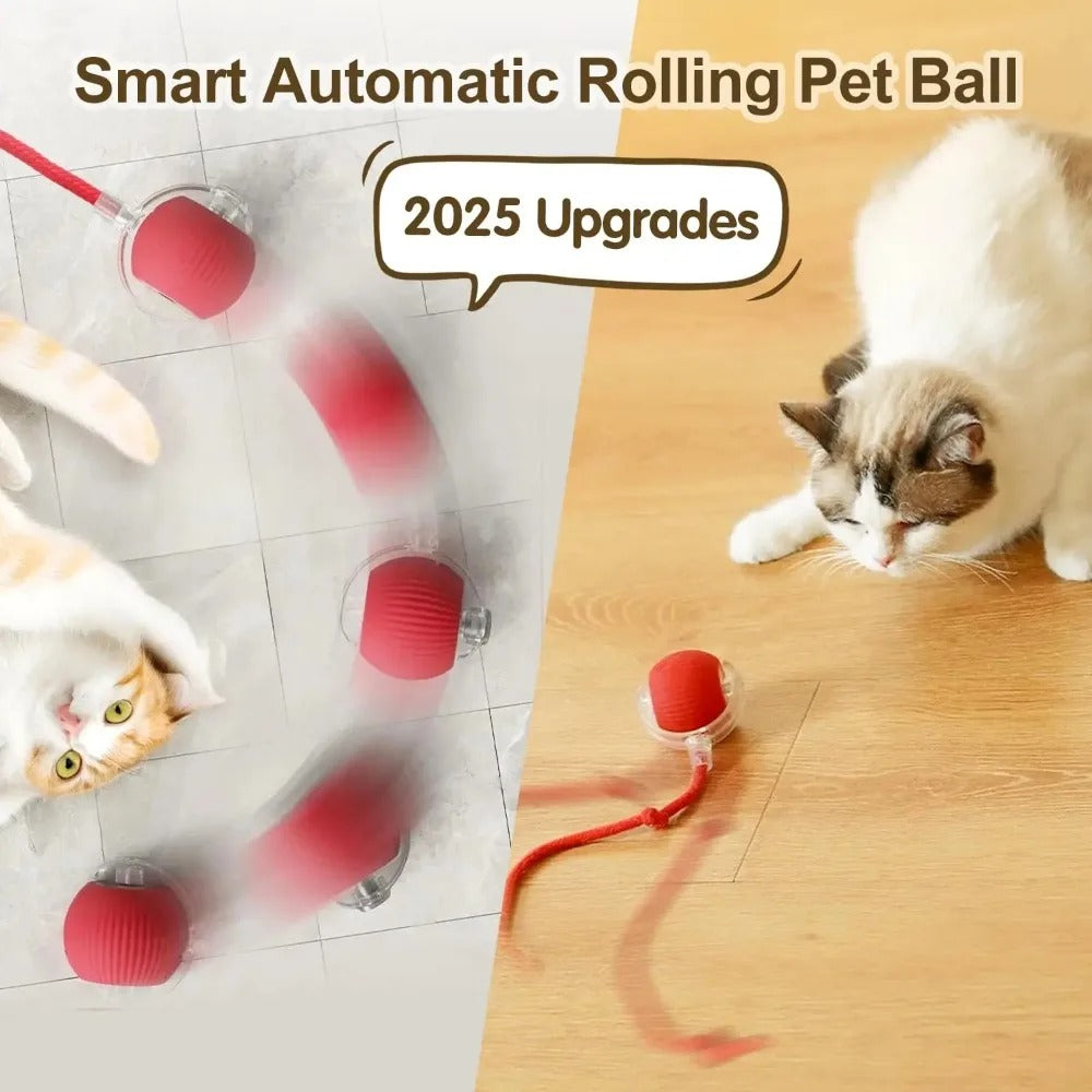 Automatic Rolling Ball with Tail,