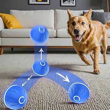 Automatic dog walking ball