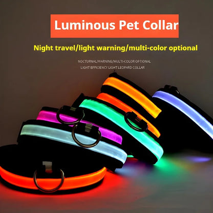 LED Glow-in-the-Dark Dog Collar