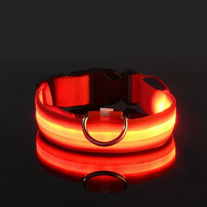 LED Glow-in-the-Dark Dog Collar