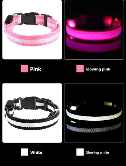 LED Glow-in-the-Dark Dog Collar