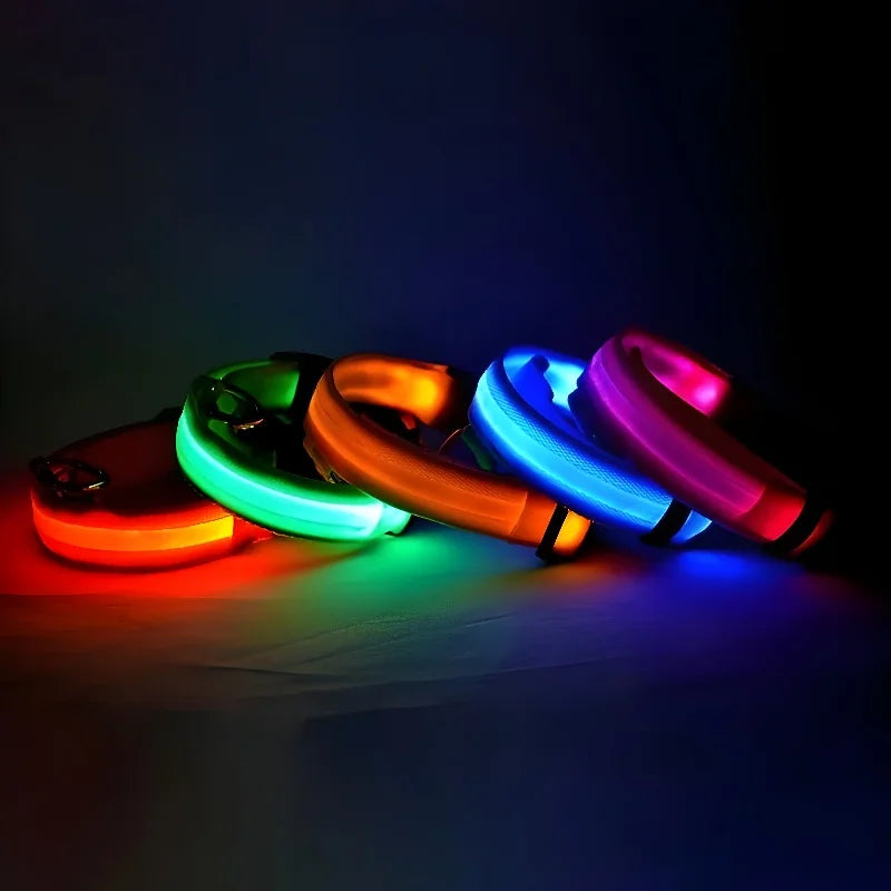 LED Glow-in-the-Dark Dog Collar