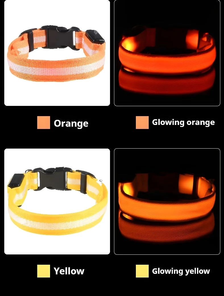 LED Glow-in-the-Dark Dog Collar