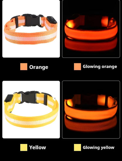 LED Glow-in-the-Dark Dog Collar