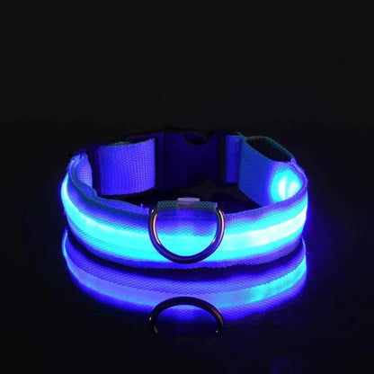 LED Glow-in-the-Dark Dog Collar