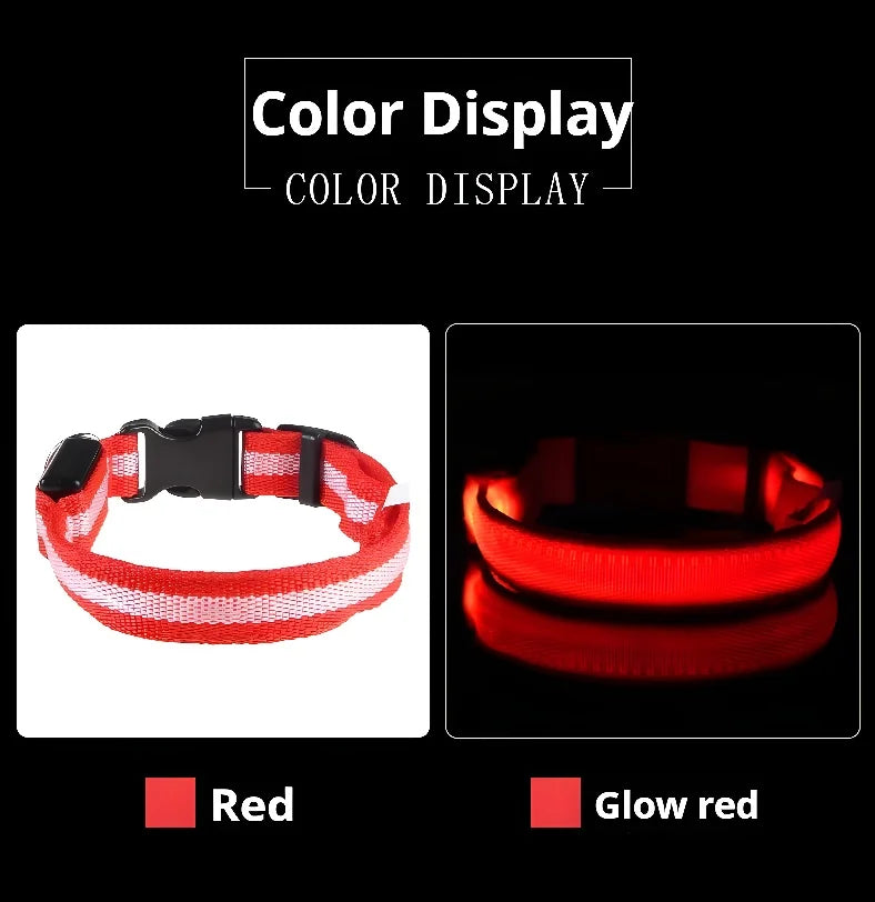 LED Glow-in-the-Dark Dog Collar