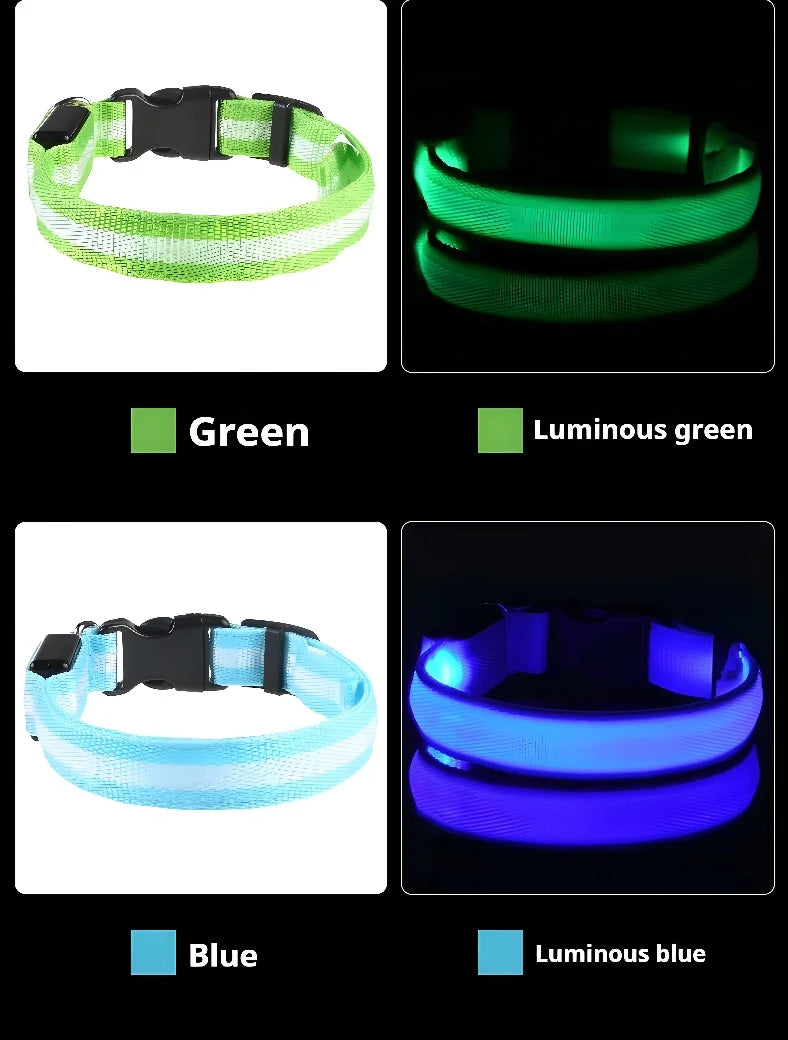 LED Glow-in-the-Dark Dog Collar