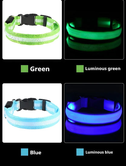 LED Glow-in-the-Dark Dog Collar