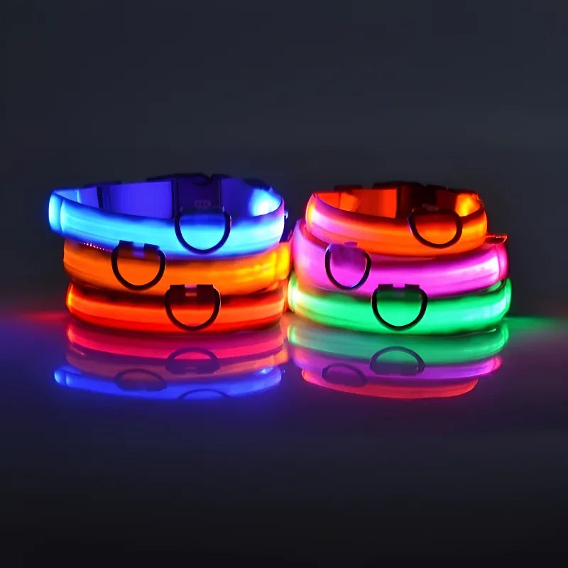 LED Glow-in-the-Dark Dog Collar