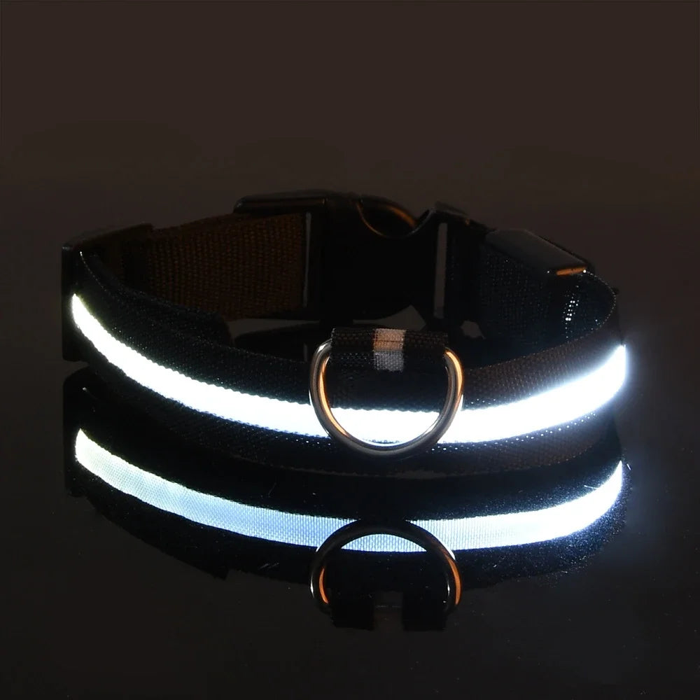 LED Glow-in-the-Dark Dog Collar