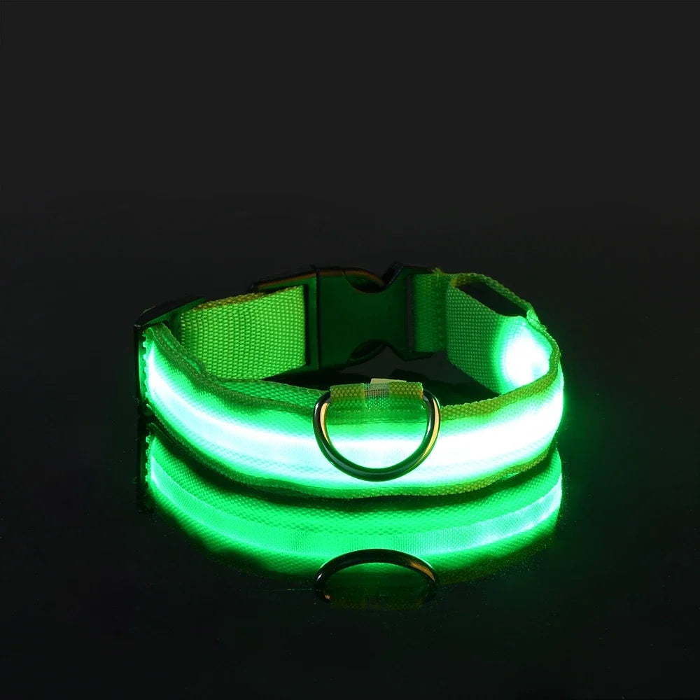 LED Glow-in-the-Dark Dog Collar