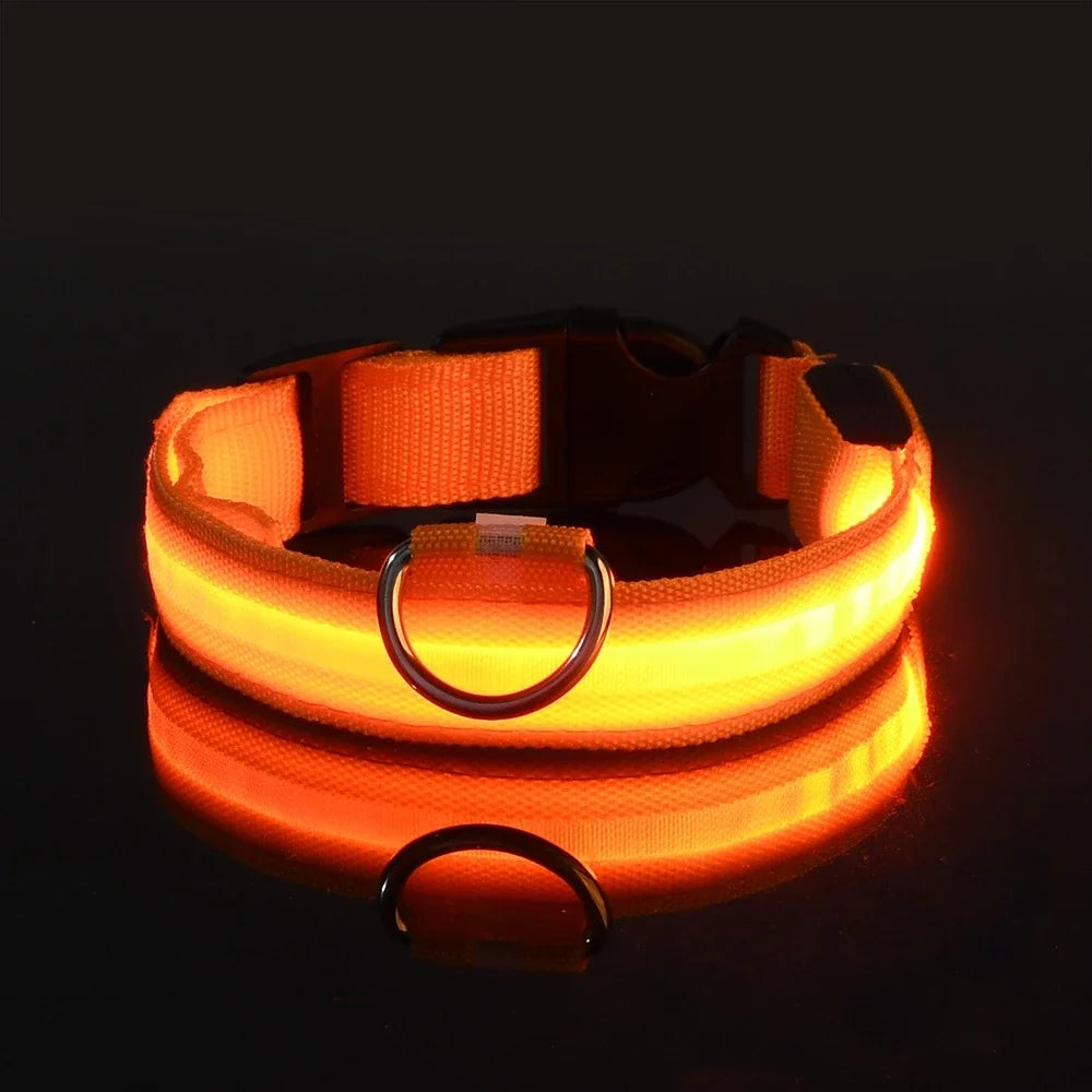 LED Glow-in-the-Dark Dog Collar