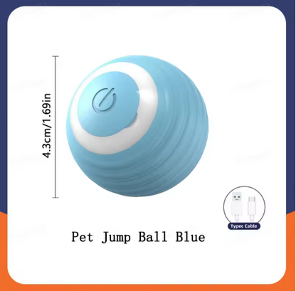 Automatic dog walking ball