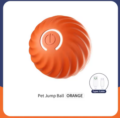 Automatic dog walking ball