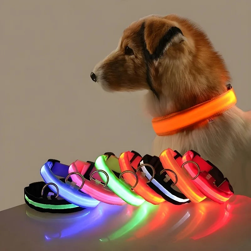 LED Glow-in-the-Dark Dog Collar