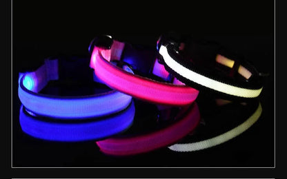 LED Glow-in-the-Dark Dog Collar