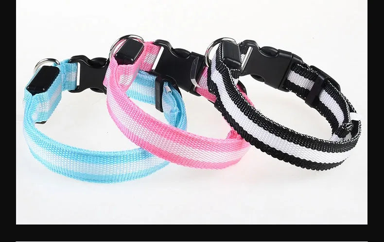 LED Glow-in-the-Dark Dog Collar