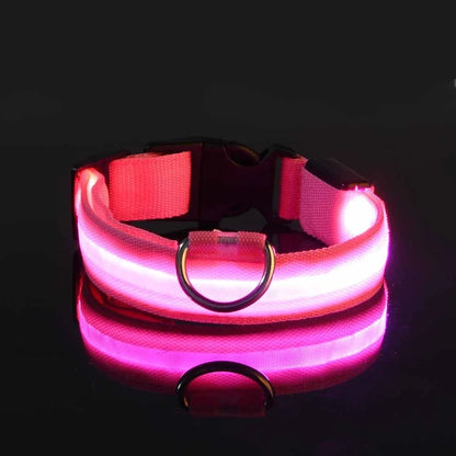 LED Glow-in-the-Dark Dog Collar