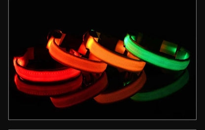 LED Glow-in-the-Dark Dog Collar