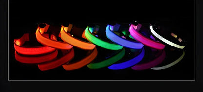 LED Glow-in-the-Dark Dog Collar