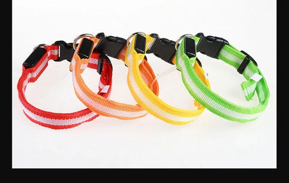 LED Glow-in-the-Dark Dog Collar