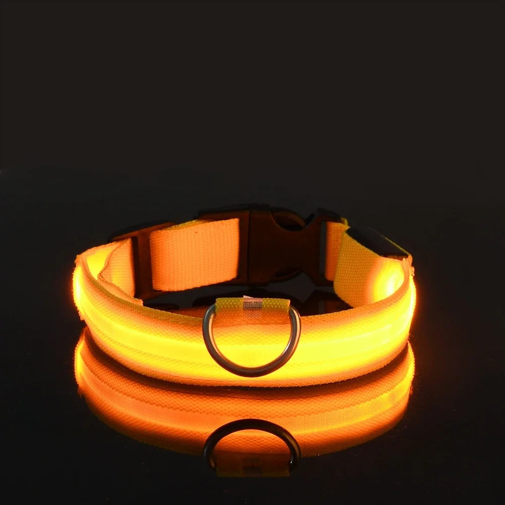 LED Glow-in-the-Dark Dog Collar