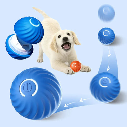 Automatic dog walking ball