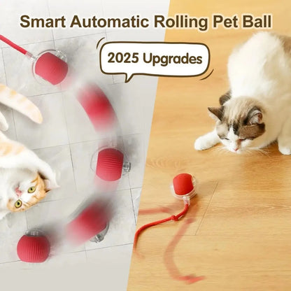 Automatic Rolling Ball with Tail,