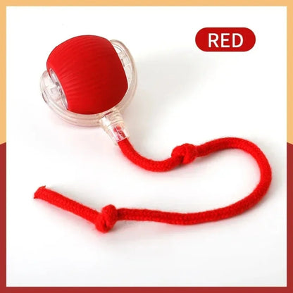 Automatic Rolling Ball with Tail,