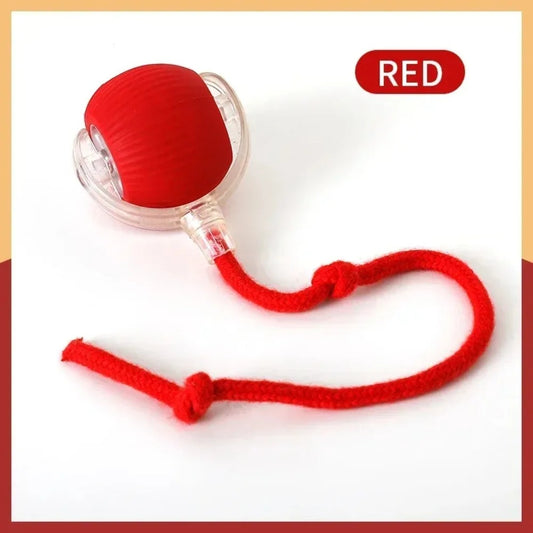 Automatic Rolling Ball with Tail,